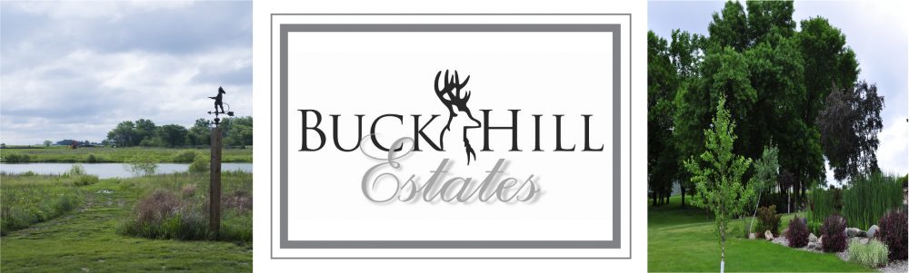 Buck Hill Estates
